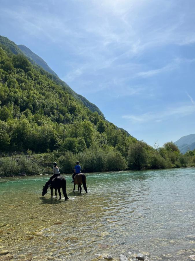 Apartment Baban In Zaga, Slovenia エクステリア 写真